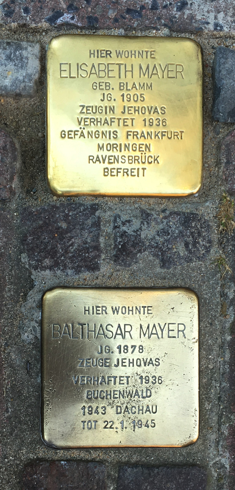 Stolpersteine für das Ehepaar Mayer
